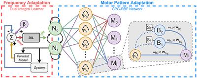 Locomotion Control With Frequency and Motor Pattern Adaptations